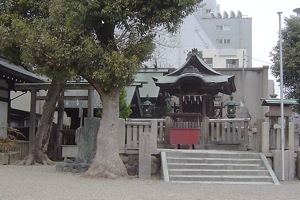 daishougun
