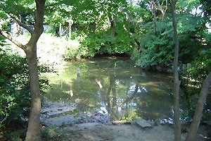 02-1