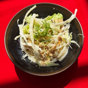 サラダうどん