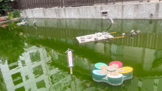 星合茶屋 8月の休業日のお知らせ