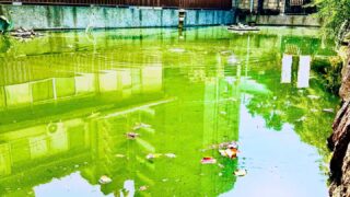 【合格祈願/七夕】大阪天満宮・星合池の伝説